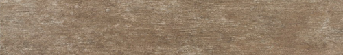 fossil maroone 15.png