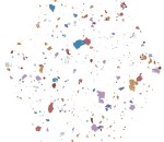 Płytka podłogowa Stracciatella White Natural 25x29