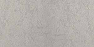 Płytka podłogowa Ferrum Silver 50x100