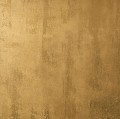 OMEGA-GOLD-855.jpg