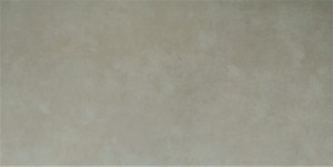 Płytka podłogowa Terranova Grey Lappato 30x60 gat.1