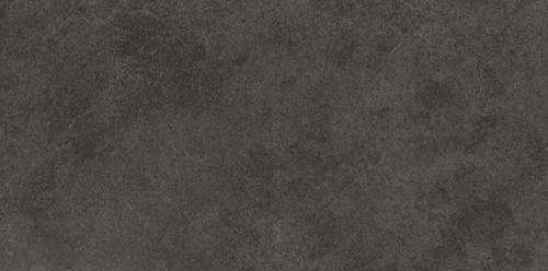 SALIX SCHWARZ.png