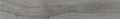 KUNI2012G.png