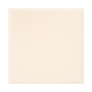 Płytka ścienna C-BG01 10x10