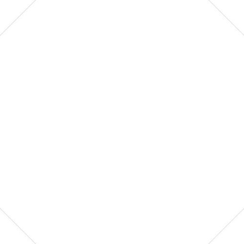 octo element blanco.jpg
