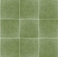Egmont Plain Green.jpg