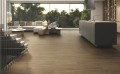 Bosland Honey 20x120 Aranż 2.jpg