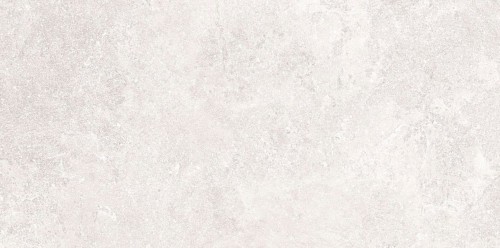 Blueslate White  60x120.jpg