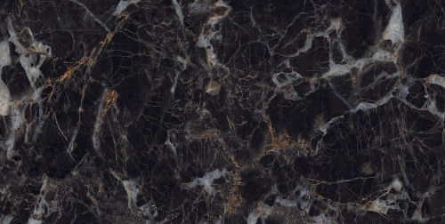 AL612I.BL - ALICIA BLACK EXPO GLUV-2.jpg