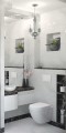 Indian Onyx Grey poler.jpg