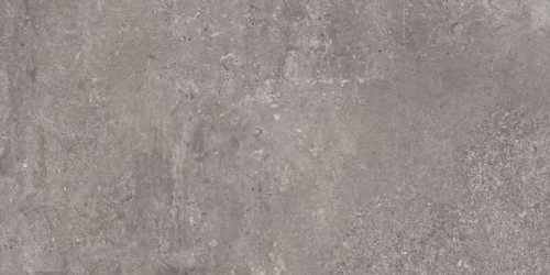 Borgona Gris 60x120.jpg