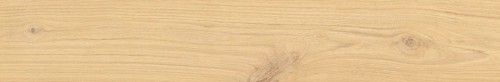 Pat-Wood Honey 212.jpg