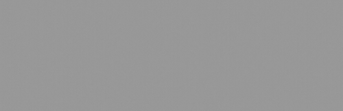 SILVER GREY.png