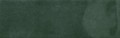 KE-26206 Tropical Green Glossy 6,5x20x0,8.jpg