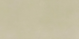 Płytka podłogowa Texture Beige 30x60