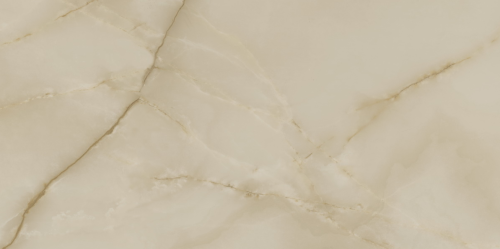 onyx polished 60x120.png