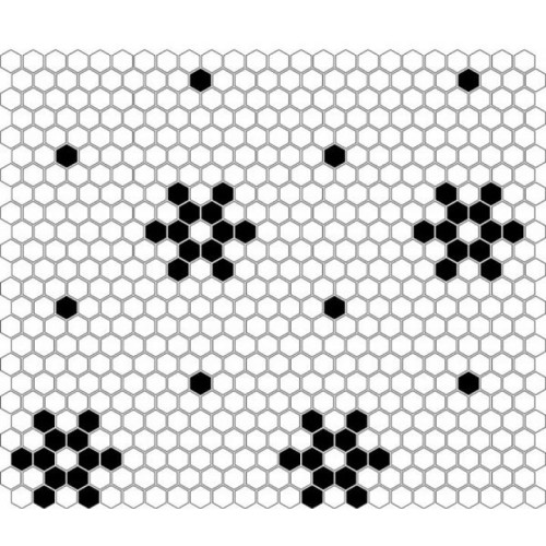 mini hexagon b&amp;w snow -1.jpg