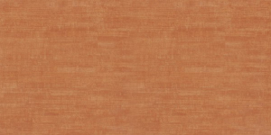 Płytka podłogowa Indian Natural 30x60