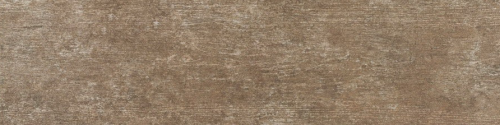 fossil marone 22.png