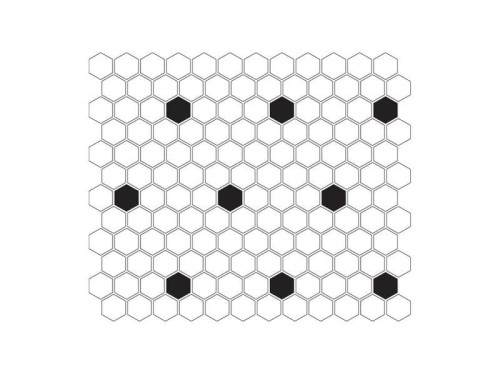 mini hexagon b&amp;w spot -1.jpg