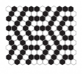 mini hexagon b&amp;w coral.png