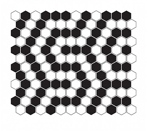 mini hexagon b&amp;w coral.png