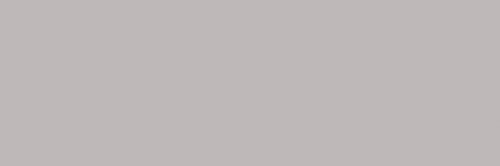 fusion gris brillo.jpg