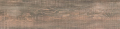 gate 15.png