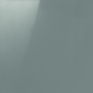 Płytka podłogowa Bright Grigio Levigato 60x60