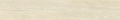 birch grove wood 15.png