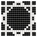 pure b&amp;w radiant 15.jpg