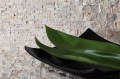 travertine brick 30 -.jpg